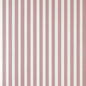 Closet Stripe 354