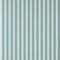 Closet Stripe 362