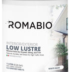 1L