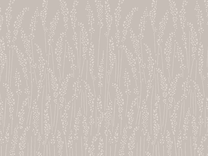 Feather Grass 5101
