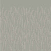 Feather Grass 5102