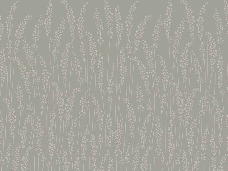 Feather Grass 5102