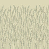 Feather Grass 5105