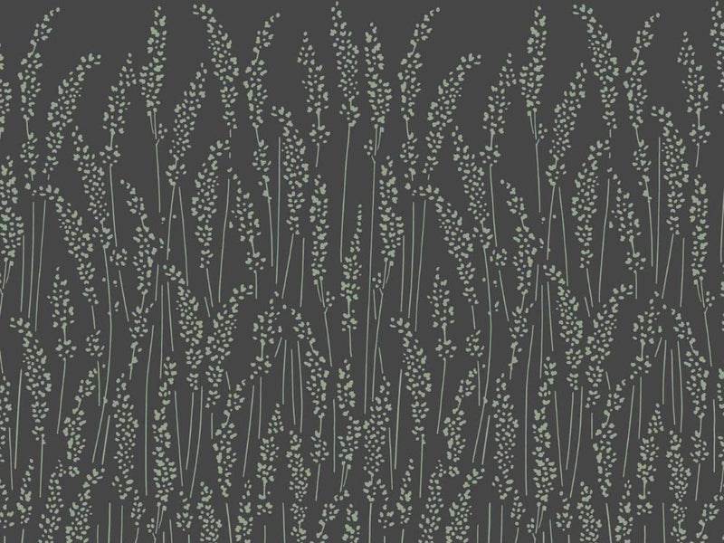 Feather Grass 5106