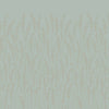 Feather Grass 5107
