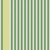 Stripe 6102