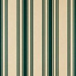 Tented Stripe 1366