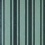 Tented Stripe 1371
